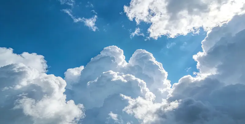 肺癌172基因检测图2