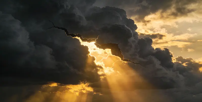 葫芦岛肺癌13基因突变检测（组织）图片1