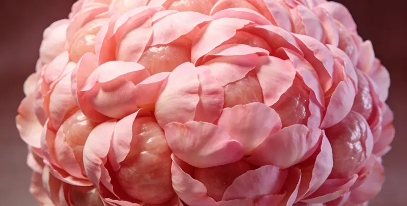 葫芦岛BRCA1/2乳腺癌卵巢癌基因检测图片1